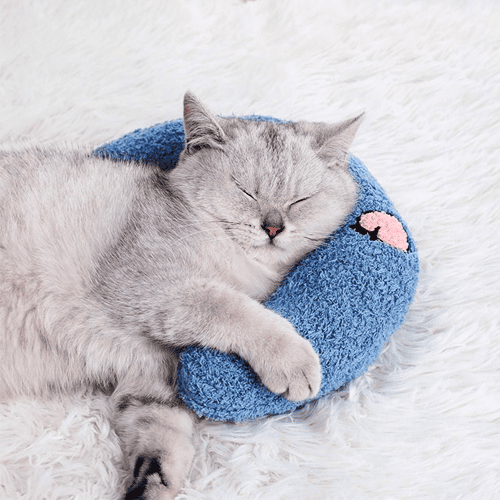 LE COUSSIN ERGONOMIQUE ET CONFORTABLE
