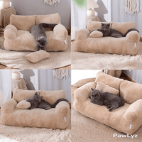canapé chat