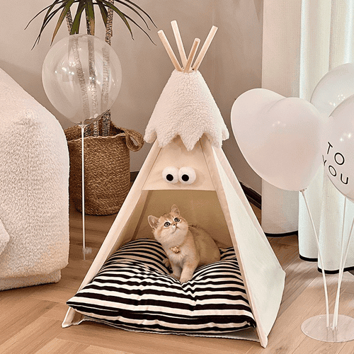 Nid pour Chat en Tente 4 Saisons